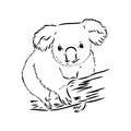 Koala bear animal on tree sketch engraving vector illustration. Scratch board style imitation. Black and white hand Royalty Free Stock Photo