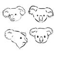 Koala bear animal on tree sketch engraving vector illustration. Scratch board style imitation. Black and white hand Royalty Free Stock Photo