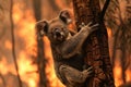 A koala bear clings to a tree during a forest fire in australia. Generative ai