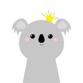 Koala bear face head icon. Cute kawaii animal. Golden crown. Cute cartoon funny baby character. Kids print for poster, t-shirt.