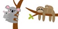 Koala bear. Sloth hanging on tree branch leaf. Cute cartoon kawaii funny lazy character set. Mother and baby. Wild joungle animal Royalty Free Stock Photo