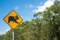 Koala bear warning sign black on yellow near country road in Australia.