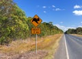 Koala Bear Warning Sign On Bruce Highway Queensland Australia Royalty Free Stock Photo