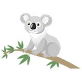 Koala Bear On Wood Branch With Green Leaves. Australian Animal Funniest Koala Sitting.