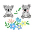 Koala bears with blue, pink, yellow flowers