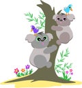 Koala Bears Up a Tree Royalty Free Stock Photo