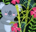 Koala in branch trees with flowers animal safari cartoon