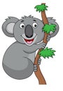 Koala cartoon Royalty Free Stock Photo