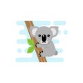 Koala is climbing a tree Royalty Free Stock Photo