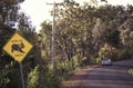 Koala crossing road sign, Australia Royalty Free Stock Photo