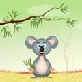 Koala with eucalipto Royalty Free Stock Photo