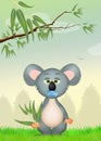 Koala with eucalipto Royalty Free Stock Photo