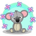 Koala with flowers Royalty Free Stock Photo