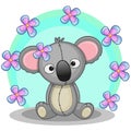Koala with flowers Royalty Free Stock Photo