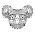 Koala head coloring book illustration. Black and white lines.