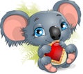 Koala and heart