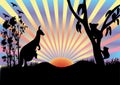 Koala and kangaroo in sunset