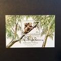 Koala Australia stamp