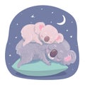 Koala mom and a koala baby sleeping on a pillow