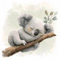 Koala portrayed in style watercolor, adorable and sleepy