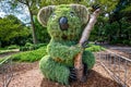 Koala shaped bush in Royal botanic garden in Sydney Australia Royalty Free Stock Photo
