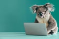 A koala sitting in front of a laptop, donning glasses, with a plain teal background. The koala