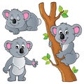 Koala theme collection 1