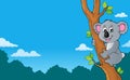 Koala theme image 3