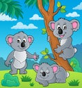 Koala theme image 1