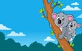 Koala theme image 4