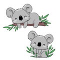Koala on the tree branch. Hand drawn cute childish illustration. Print design. Vector illustration