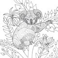 Koala on tree coloring page.