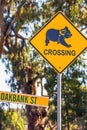 Koala warning sign near Narrandera Royalty Free Stock Photo