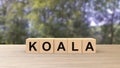 Koala - word wooden cubes on table horizontal over forest trees, Australia animal, australian emergency, help fire emblem design Royalty Free Stock Photo