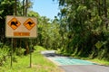Koalas and Kangaroos. Drive Slowly traffic sign along the road i