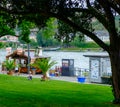 A boy plays with geese on the grass near the banks of River Rhein in Koblenz, Germany Royalty Free Stock Photo