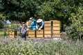 05.07.2017 Koblenz Germany - Beekeeper teaching Kids in hive watching bees. Bees on honeycombs. Frames of a bee hive