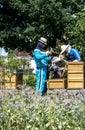 05.07.2017 Koblenz Germany - Beekeeper teaching Kids in hive watching bees. Bees on honeycombs. Frames of a bee hive