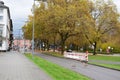 Koblenz, Germany - 11 13 2023: Geese crossing an urban street with autumn colors