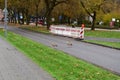 Koblenz, Germany - 11 13 2023: Geese crossing an urban street Royalty Free Stock Photo