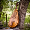 kobza a folk instrument of the Chumaks. Generative AI