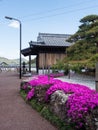 Spring flowers blooming at Tanemaji, temple number 34 of Shikoku pilgrimage Royalty Free Stock Photo
