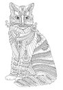 Maine coon cat, adult coloring page