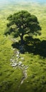 Kod Heaney And The Lion Kings: Serene Woodland Vignettes In Photorealistic Detail