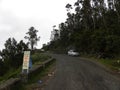 Kodaikanal, Tamil Nadu, India - June 12, 2010 Fog and cloud covered road at the top of the hill with pine trees