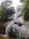 Bear shola waterfall