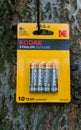 Kodak battery pack with 10 year warranty. Kodak promises 6 x more power. Photograph taken in nature
