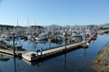 Kodiak Harbor Royalty Free Stock Photo