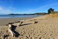 KoeKohe beach at Otaga New Zealand Royalty Free Stock Photo