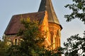 Koenigsberg Cathedral tower on a summer evening. Gothic of the 14th century. Kaliningrad, Russia